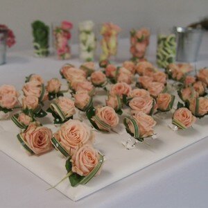 Team Building & Entreprises - Des Bulles dans les Branches